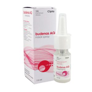 budenase-aq